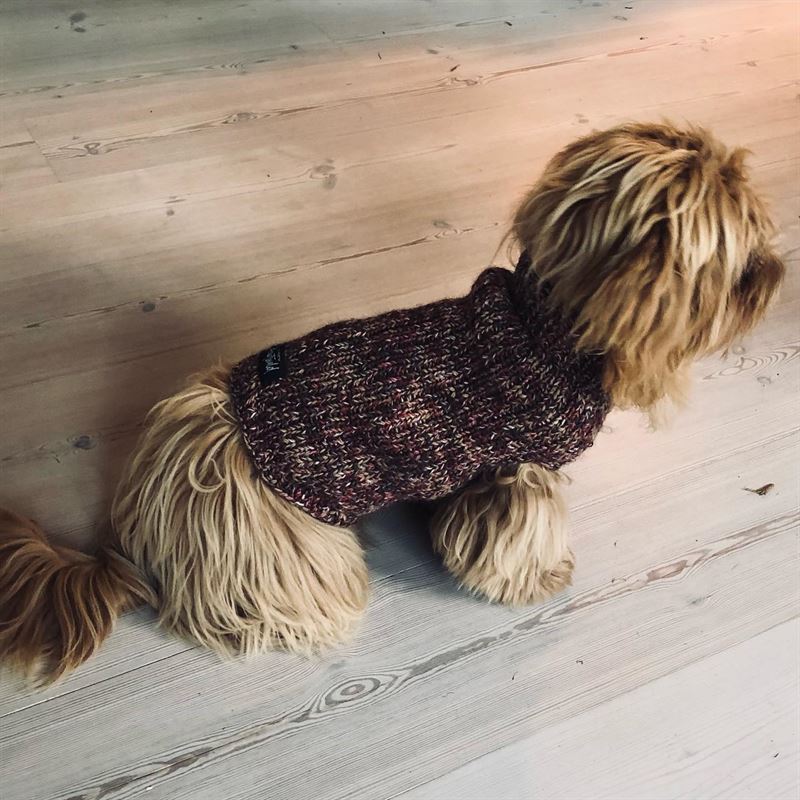 Lille Hundesweater by Krautwald