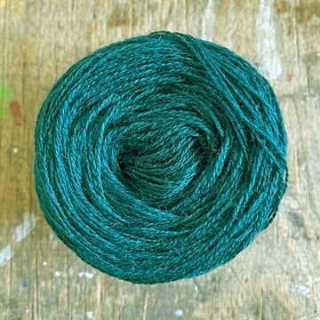 Alpaca To-Go - 018 - K6 - Hosta