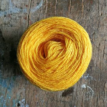 Alpaca To-Go - 010 - L7 - Solsikke