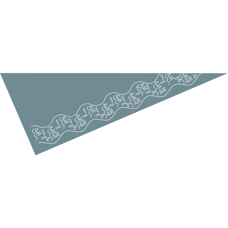 Vesterhavsjalet - Blågran